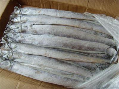 青島港到日照專業化進口冷凍魚蝦清關代理公司