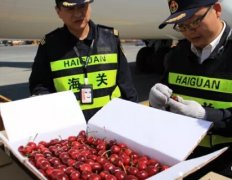 水果進口報關流程及相關注意事項